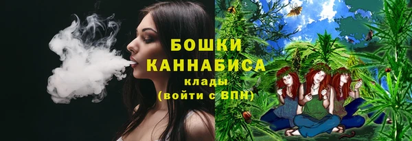 метадон Дмитриев