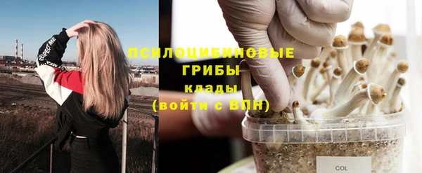 метадон Дмитриев