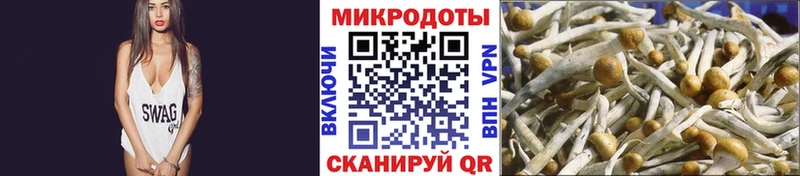 Купить где  Батайск  Псилоцибиновые грибы ЛСД 