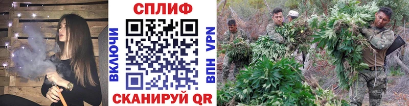 Купить где  Батайск  Канабис VHQ 